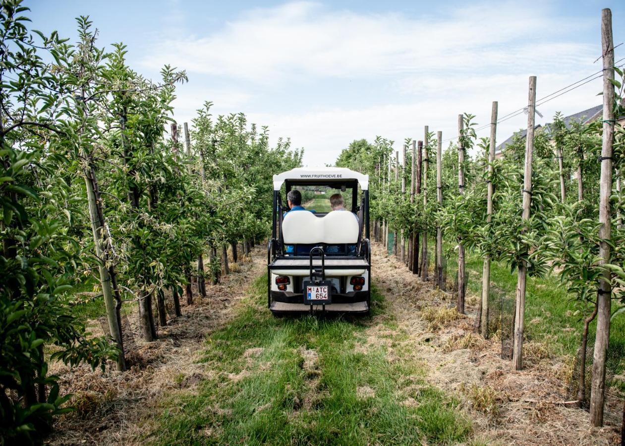 B&B De Fruithoeve Hoeselt Exteriér fotografie